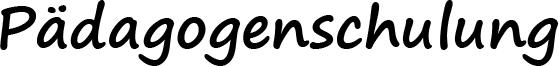 PÃ¤dagogenschulung